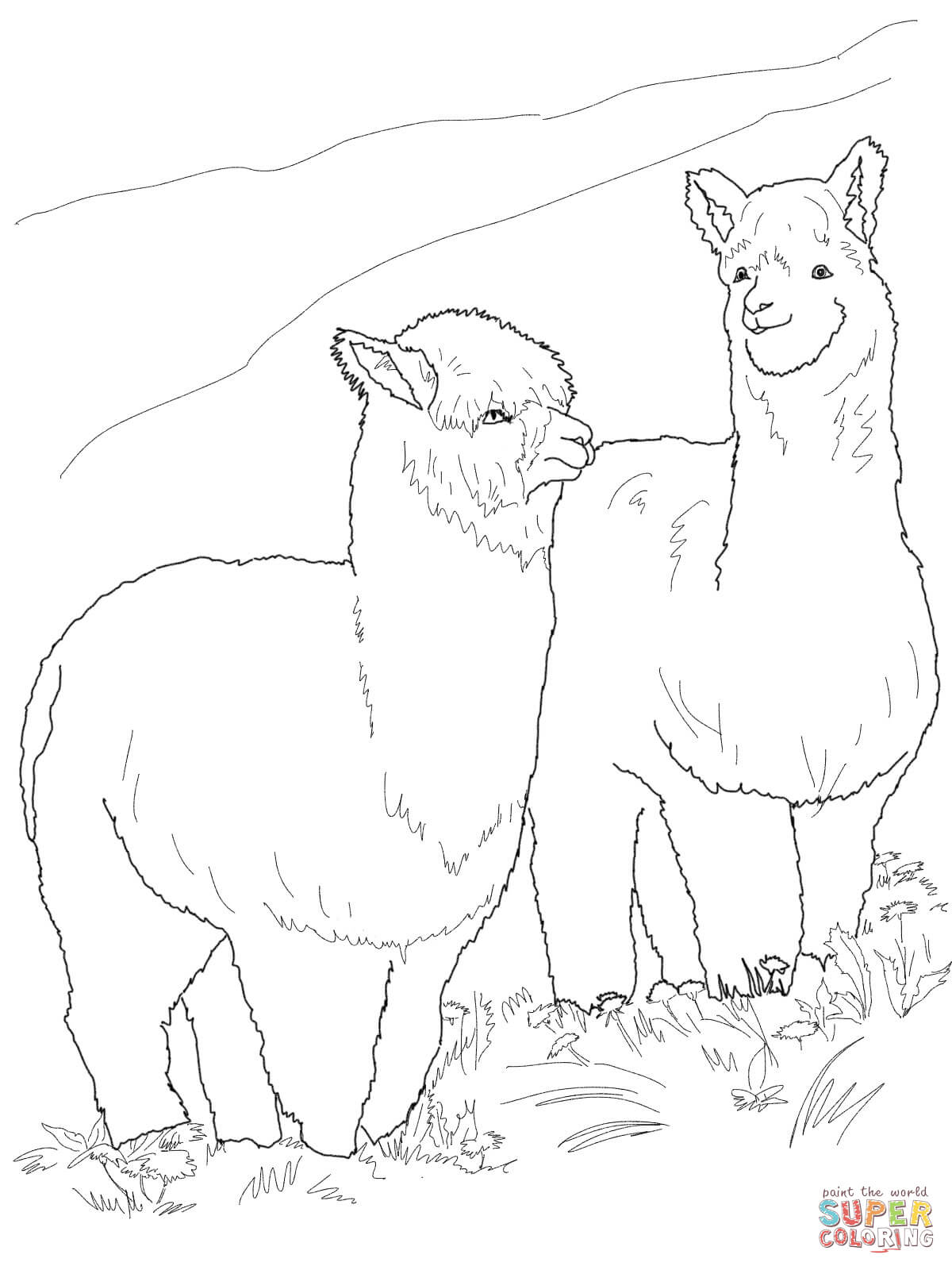 Alpaca coloring #10, Download drawings