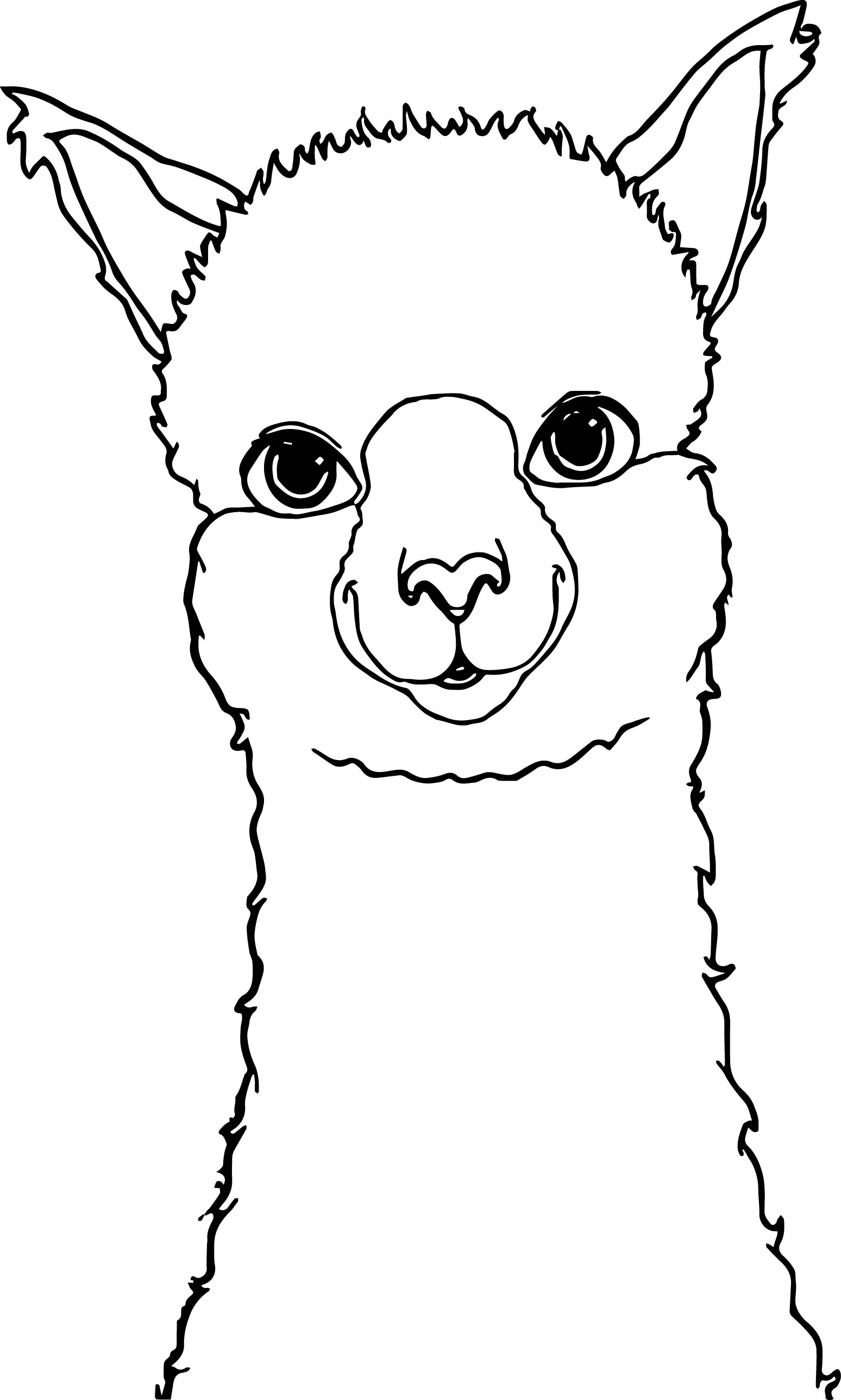 Alpaca coloring #3, Download drawings