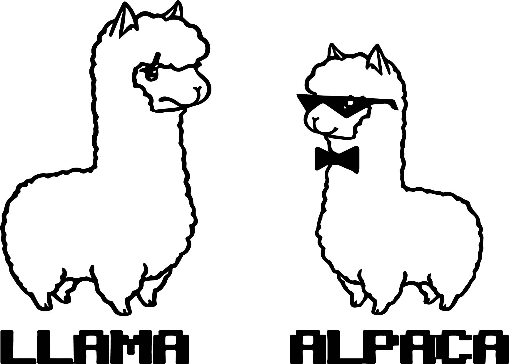 Alpaca coloring #7, Download drawings