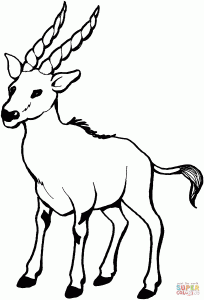 Alpine Ibex coloring #14, Download drawings