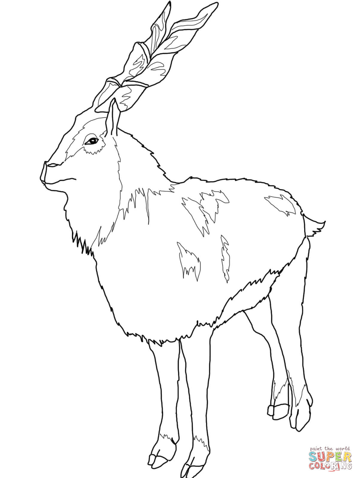 Alpine Ibex coloring #19, Download drawings