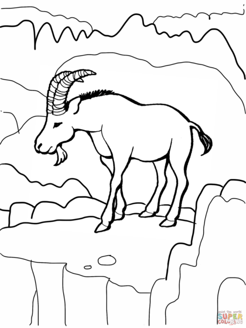 Alpine Ibex coloring #11, Download drawings