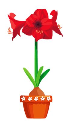 Amaryllis clipart #7, Download drawings