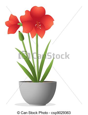 Amaryllis clipart #15, Download drawings