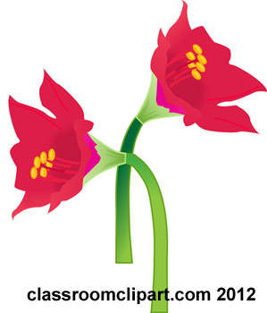 Amaryllis clipart #16, Download drawings