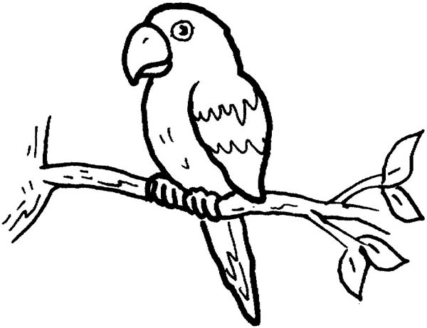 Amazon Parrot coloring #10, Download drawings