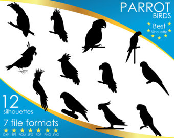 Amazon Parrot svg #7, Download drawings