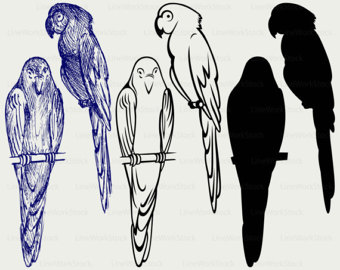 Scarlet Macaw svg #7, Download drawings