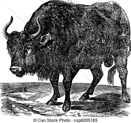 American Bison clipart #12, Download drawings
