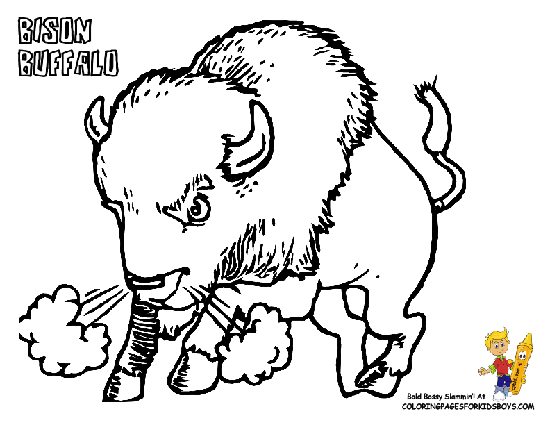 American Bison coloring #3, Download drawings