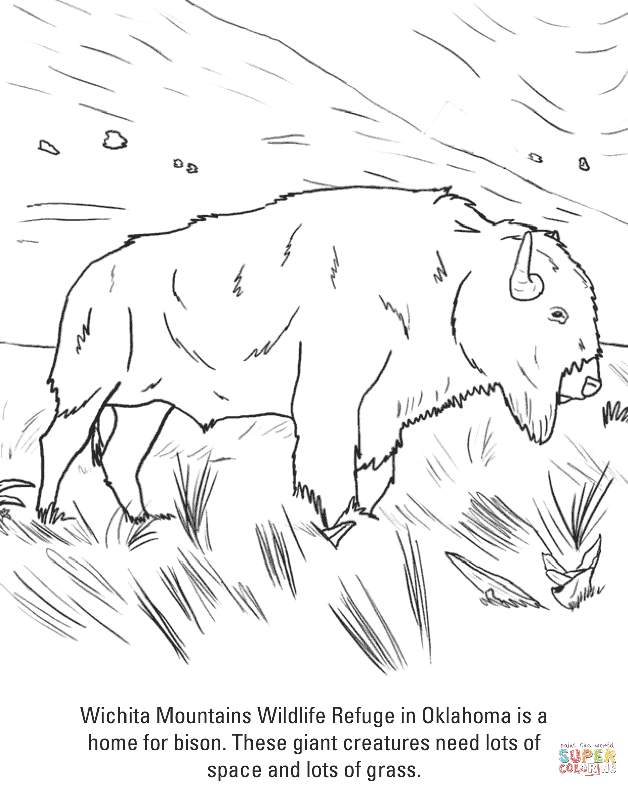 American Bison coloring #7, Download drawings