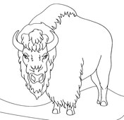 American Bison coloring #20, Download drawings