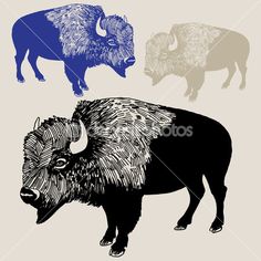American Bison svg #6, Download drawings