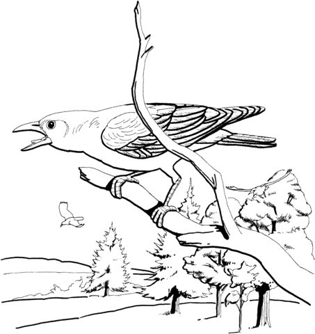 American Crow coloring #9, Download drawings