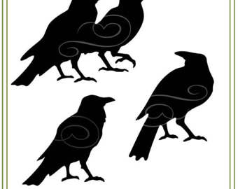American Crow svg #16, Download drawings