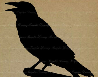 American Crow svg #10, Download drawings