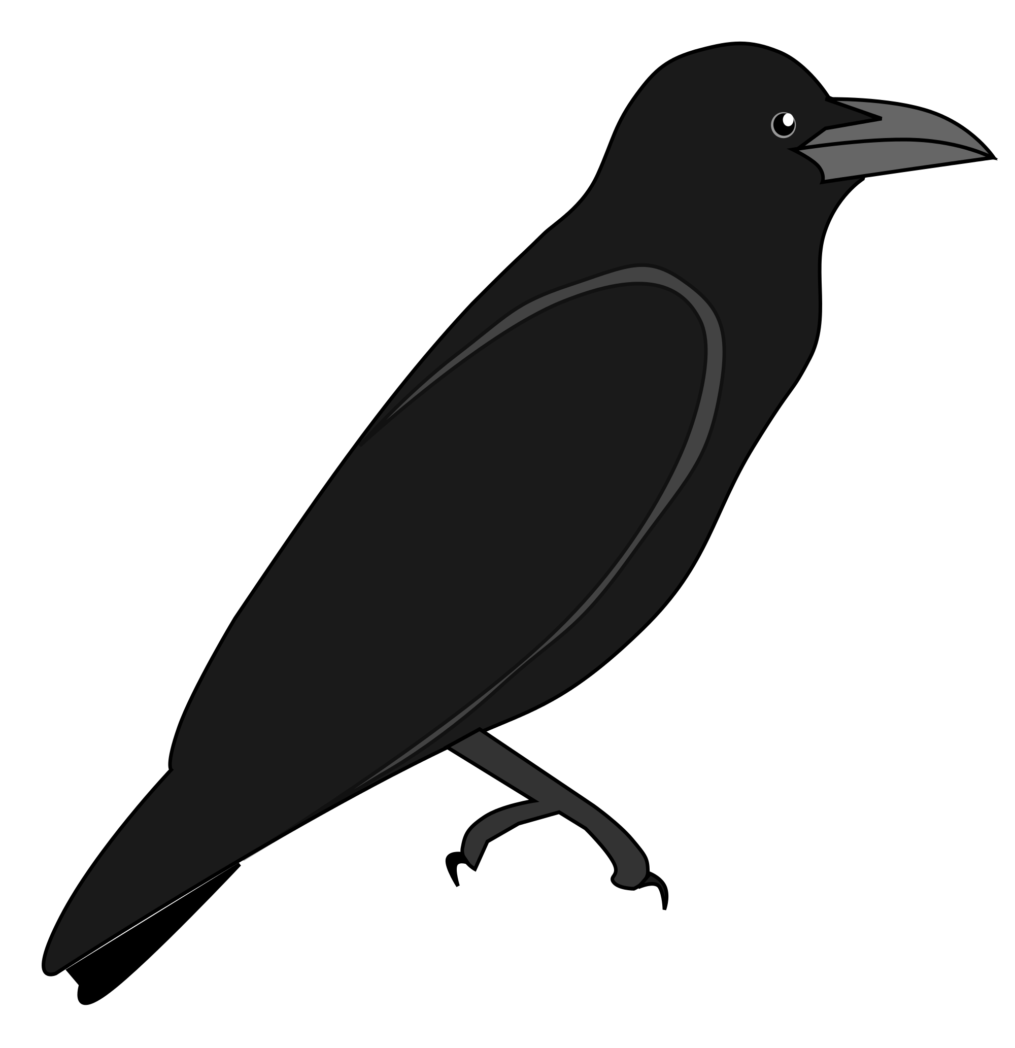 American Crow svg #18, Download drawings
