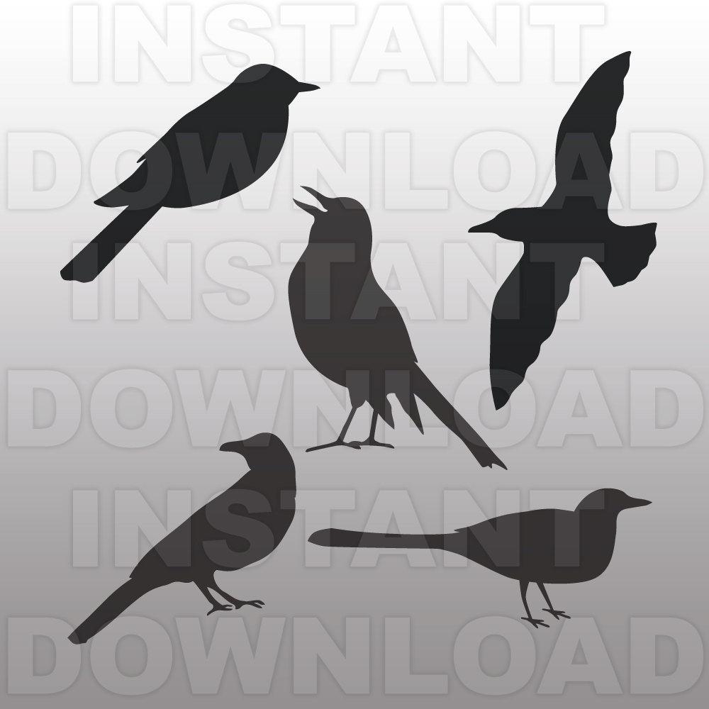 American Crow svg #17, Download drawings