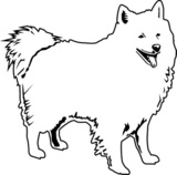 American Eskimo Dog clipart #12, Download drawings