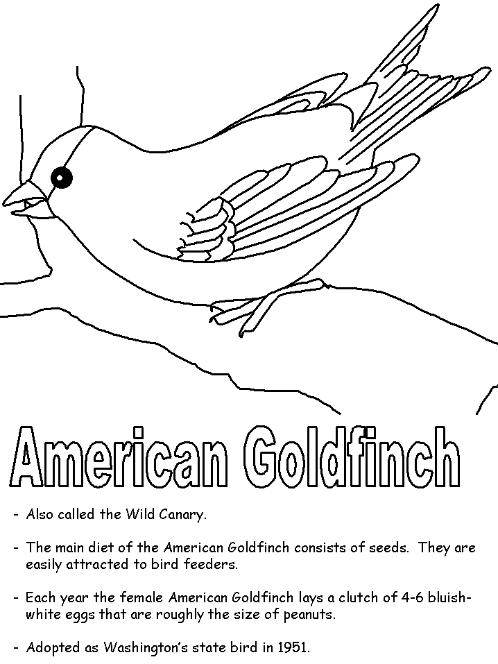 American Goldfinch coloring #20, Download drawings