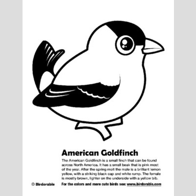 American Goldfinch coloring #17, Download drawings