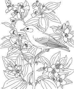 American Goldfinch coloring #7, Download drawings