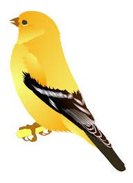 American Goldfinch svg #10, Download drawings
