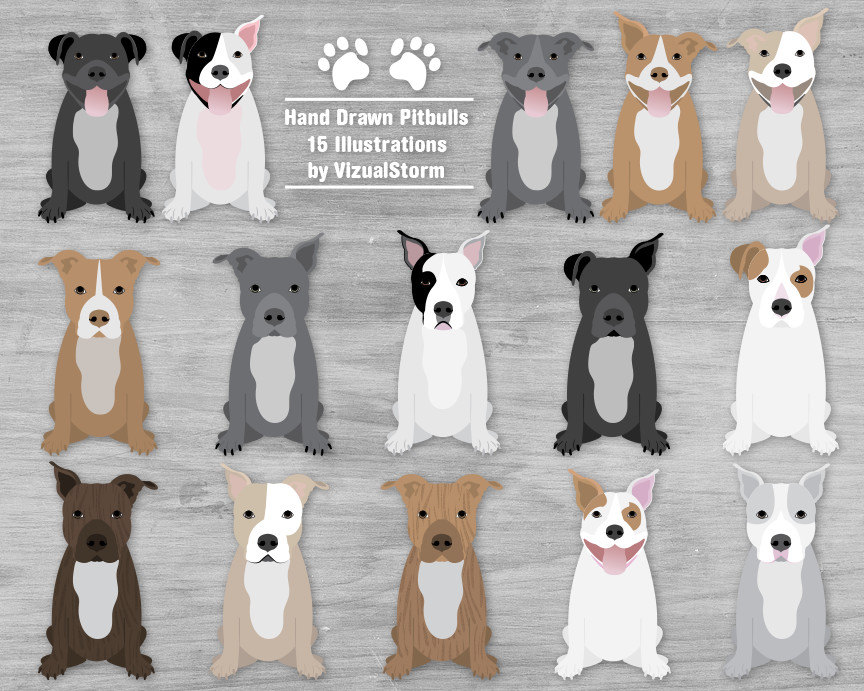 American Pit Bull Terrier clipart #10, Download drawings