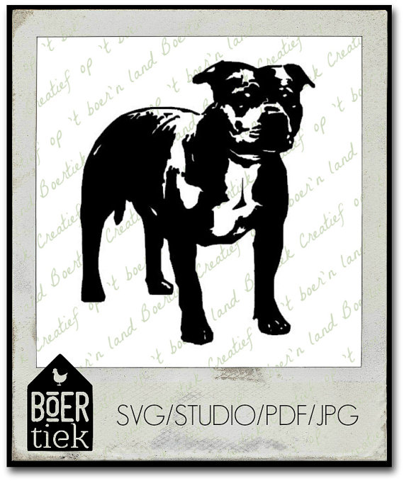 Staffordshire Bull Terrier svg #18, Download drawings