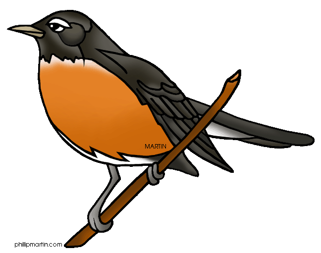 American Robin clipart #17, Download drawings