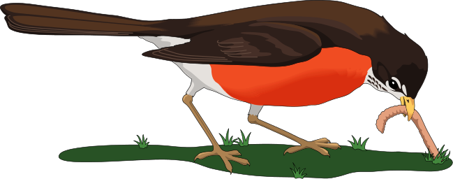 American Robin clipart #8, Download drawings