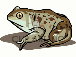 American Toad clipart #12, Download drawings
