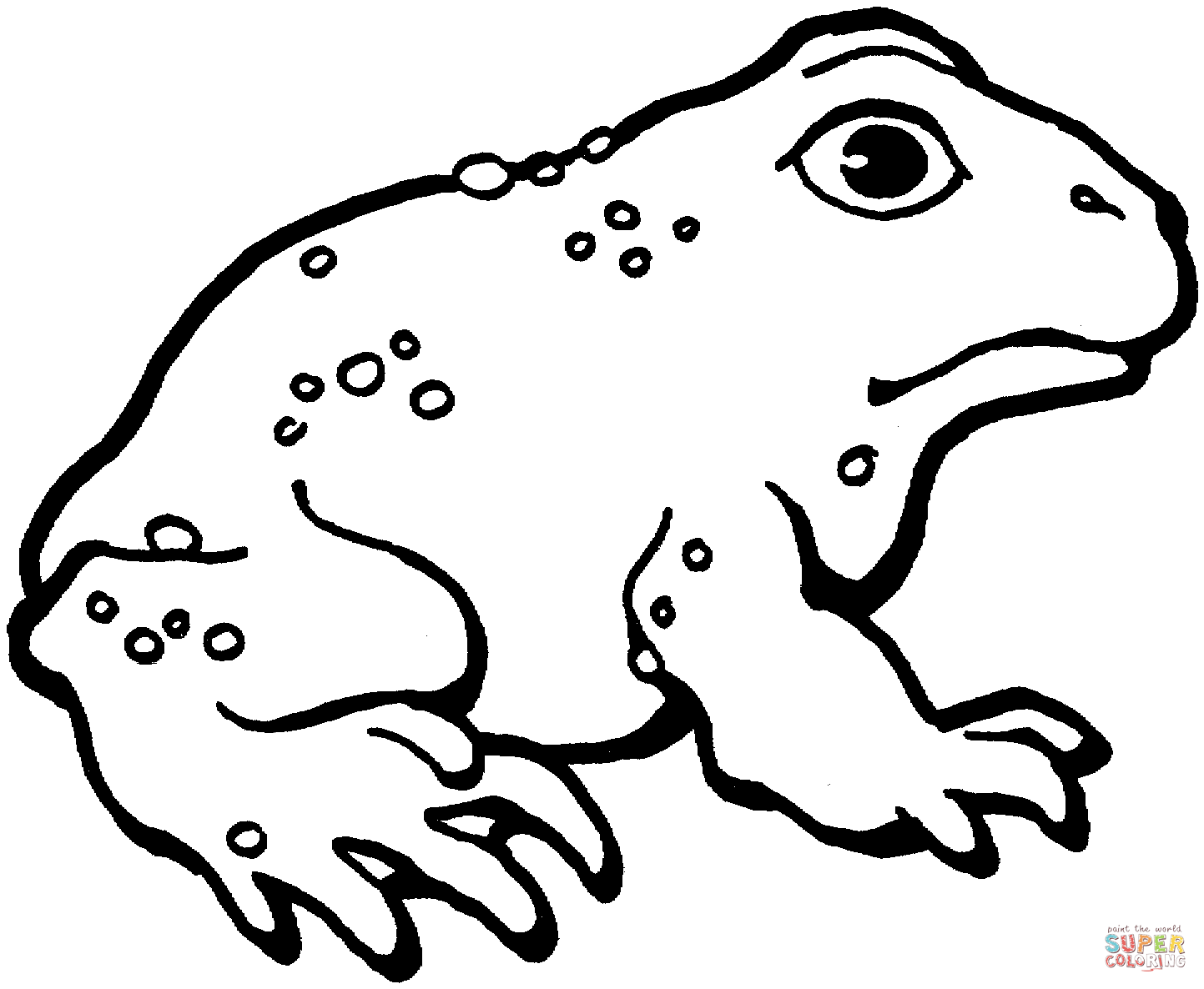 American Toad coloring #9, Download drawings