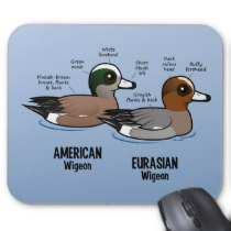 American Wigeon coloring #16, Download drawings