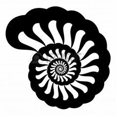 Ammonite clipart #15, Download drawings