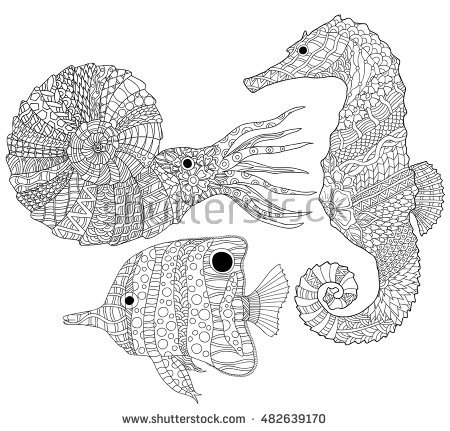 Ammonite coloring #6, Download drawings