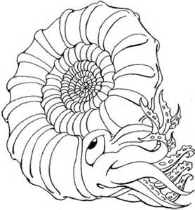 Ammonite coloring #19, Download drawings