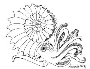 Ammonite coloring #17, Download drawings