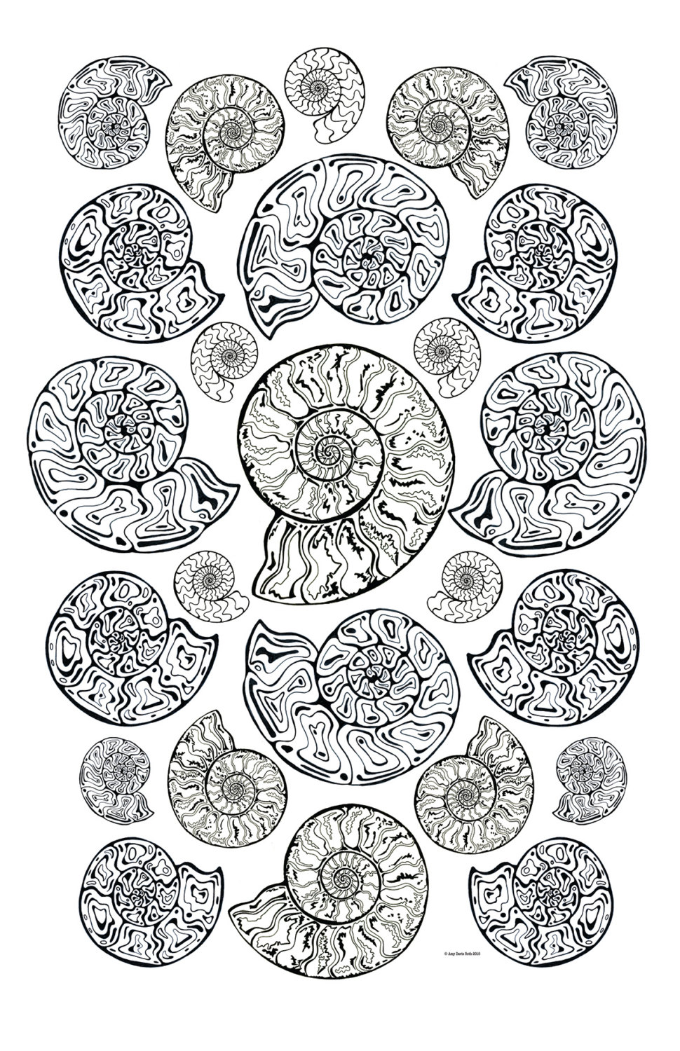 Ammonite coloring #2, Download drawings