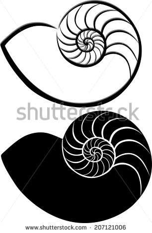 Ammonite svg #5, Download drawings