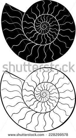 Ammonite svg #4, Download drawings