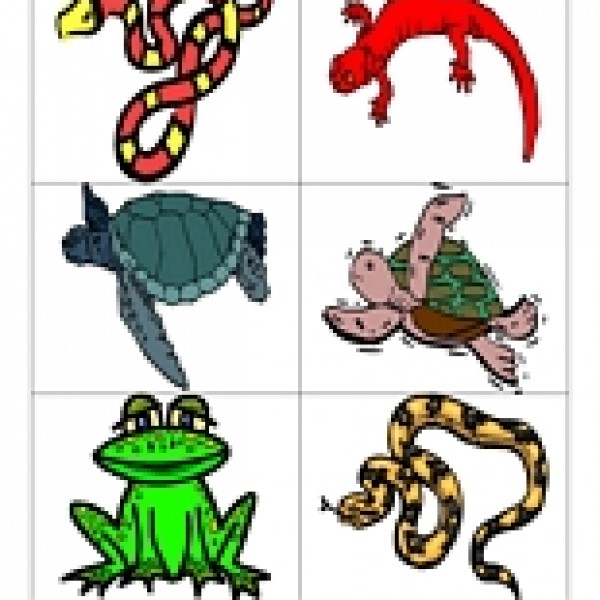 Amphibian clipart #6, Download drawings