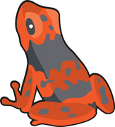 Poison Dart Frog clipart #12, Download drawings