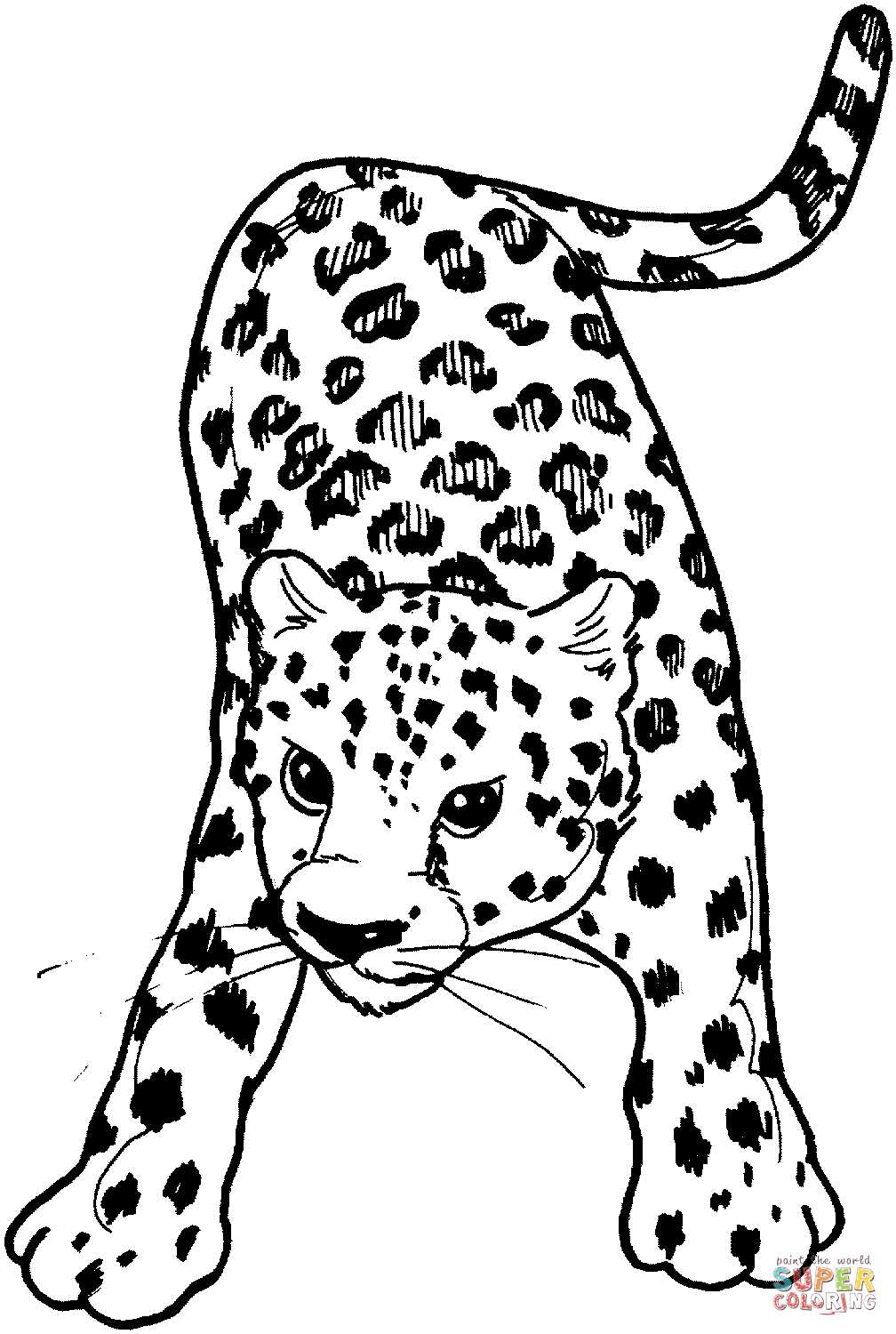 Amur Leopard coloring #6, Download drawings