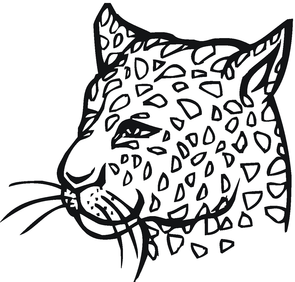 Amur Leopard coloring #9, Download drawings