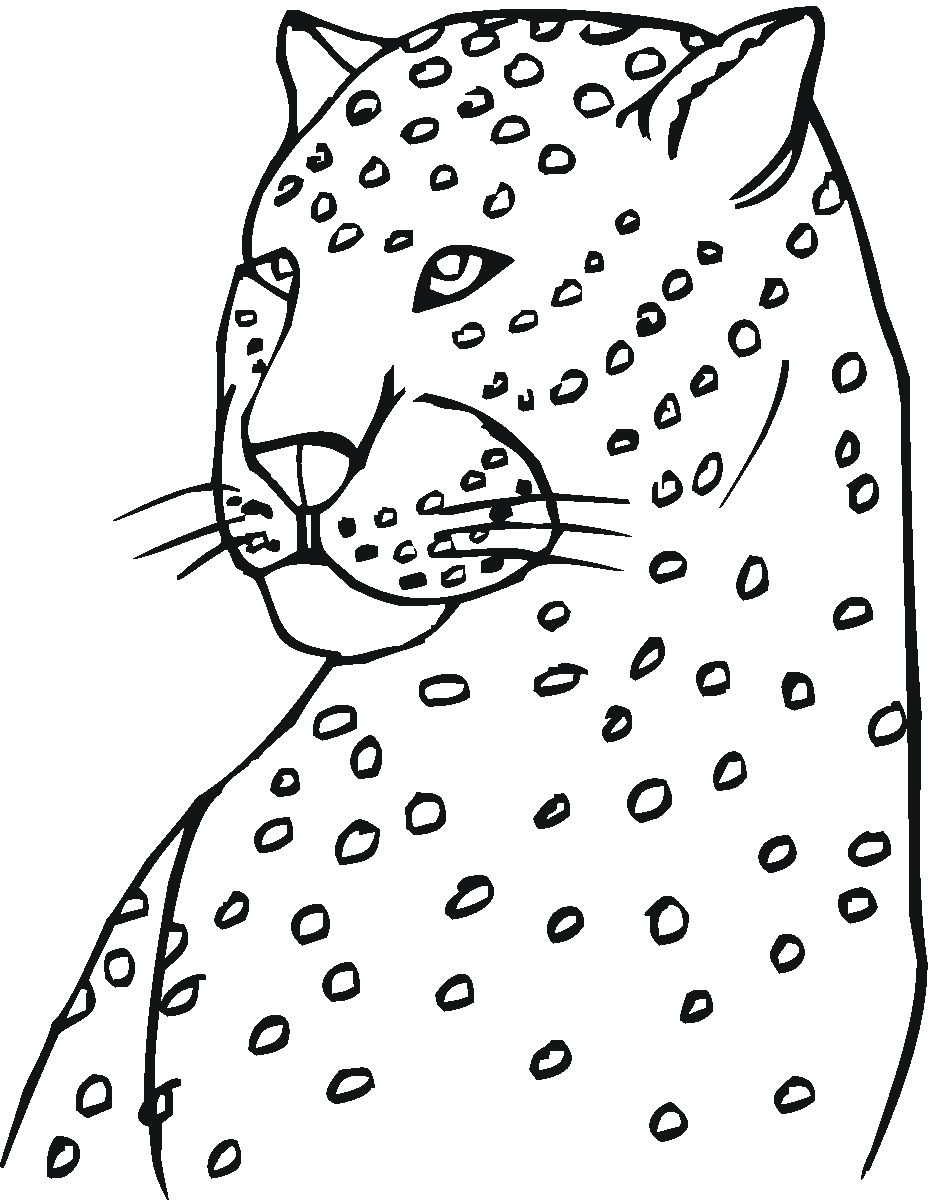 Amur Leopard coloring #5, Download drawings