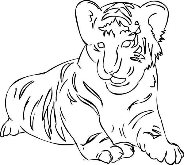 Siberian Tiger coloring #19, Download drawings