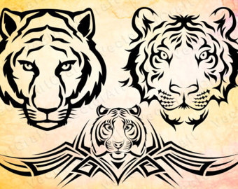 Amur Tiger svg #8, Download drawings