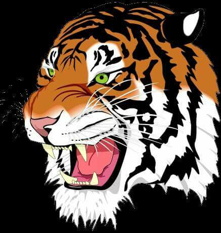 Amur Tiger svg #11, Download drawings