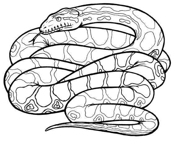 Anaconda clipart #7, Download drawings